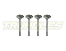 Inlet Valve Set to suit Nissan TD27 Engines