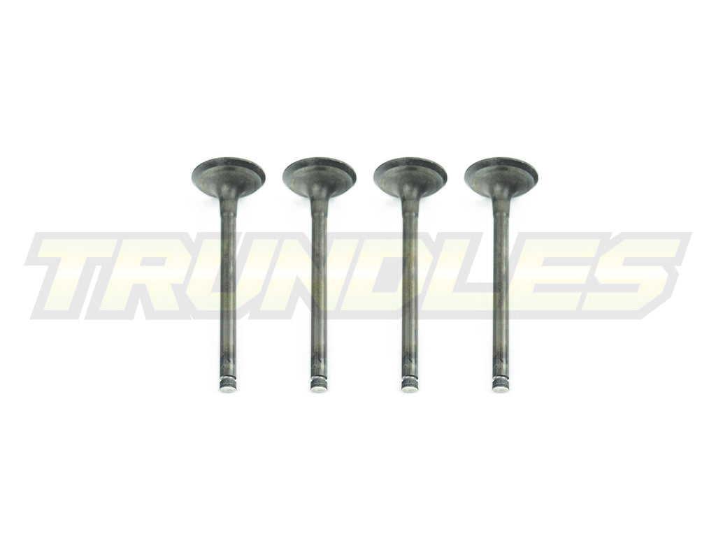 Exhaust Valve Set to suit Nissan TD27 Engines