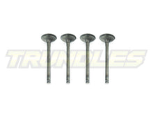 Exhaust Valve Set to suit Nissan TD27 Engines