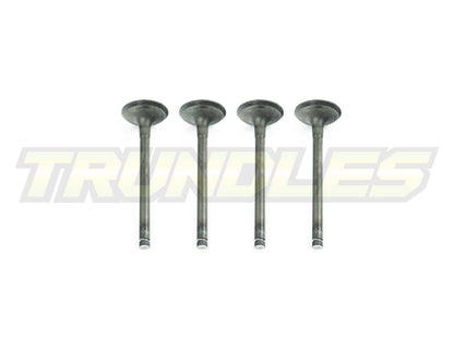 Exhaust Valve Set to suit Nissan TD27 Engines
