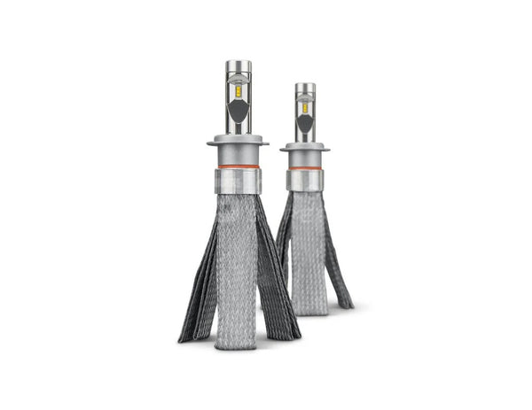 STEDI H7 Copper Head LED Bulbs PAIR