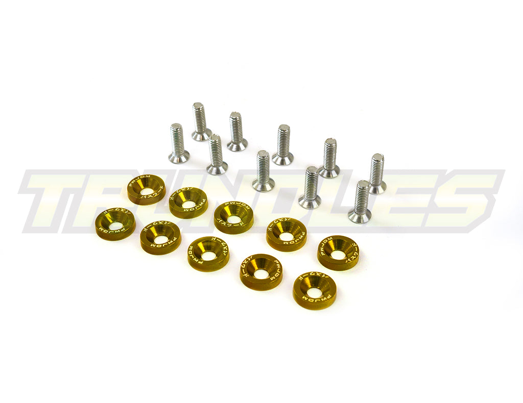 Fender Washer Dress-Up Kit