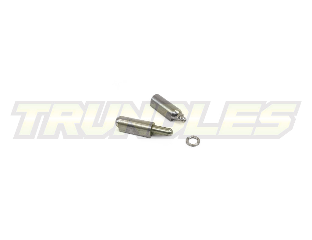Weld-On Pin Hinge - 80mm