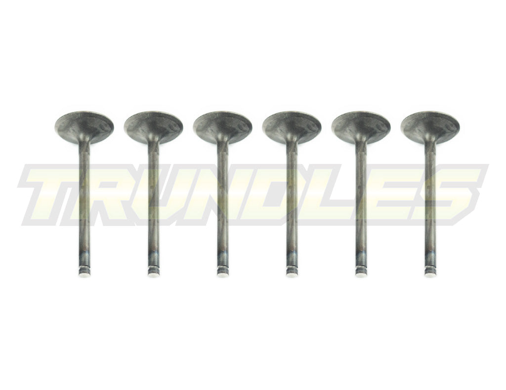 Inlet Valve Set to suit Nissan TD42 Engines
