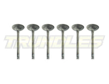 Inlet Valve Set to suit Nissan TD42 Engines