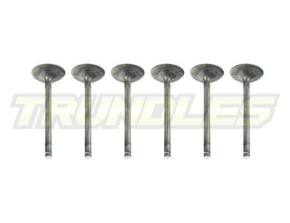 Inlet Valve Set to suit Nissan TD42 Engines