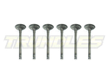 Exhaust Valve Set to suit Nissan TD42 Engines