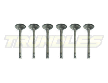 Exhaust Valve Set to suit Nissan TD42 Engines