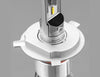 STEDI H4 Copper Head LED Headlight Upgrade Conversion Kit