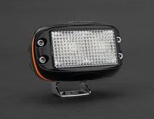STEDI 10W Mini V2 LED Flood Light